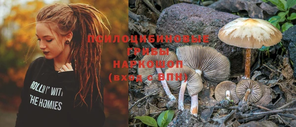 jwh Корсаков
