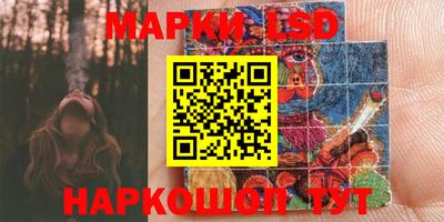 ECSTASY Новодвинск