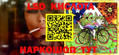 ECSTASY Новодвинск