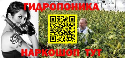 a pvp Новокубанск